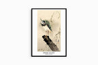 Ohara Koson - Lapwing on Tree Slump Poster - Hakyarts