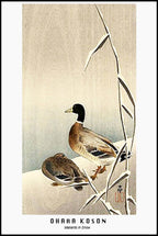Ohara Koson - Mallards in Snow Poster - Hakyarts