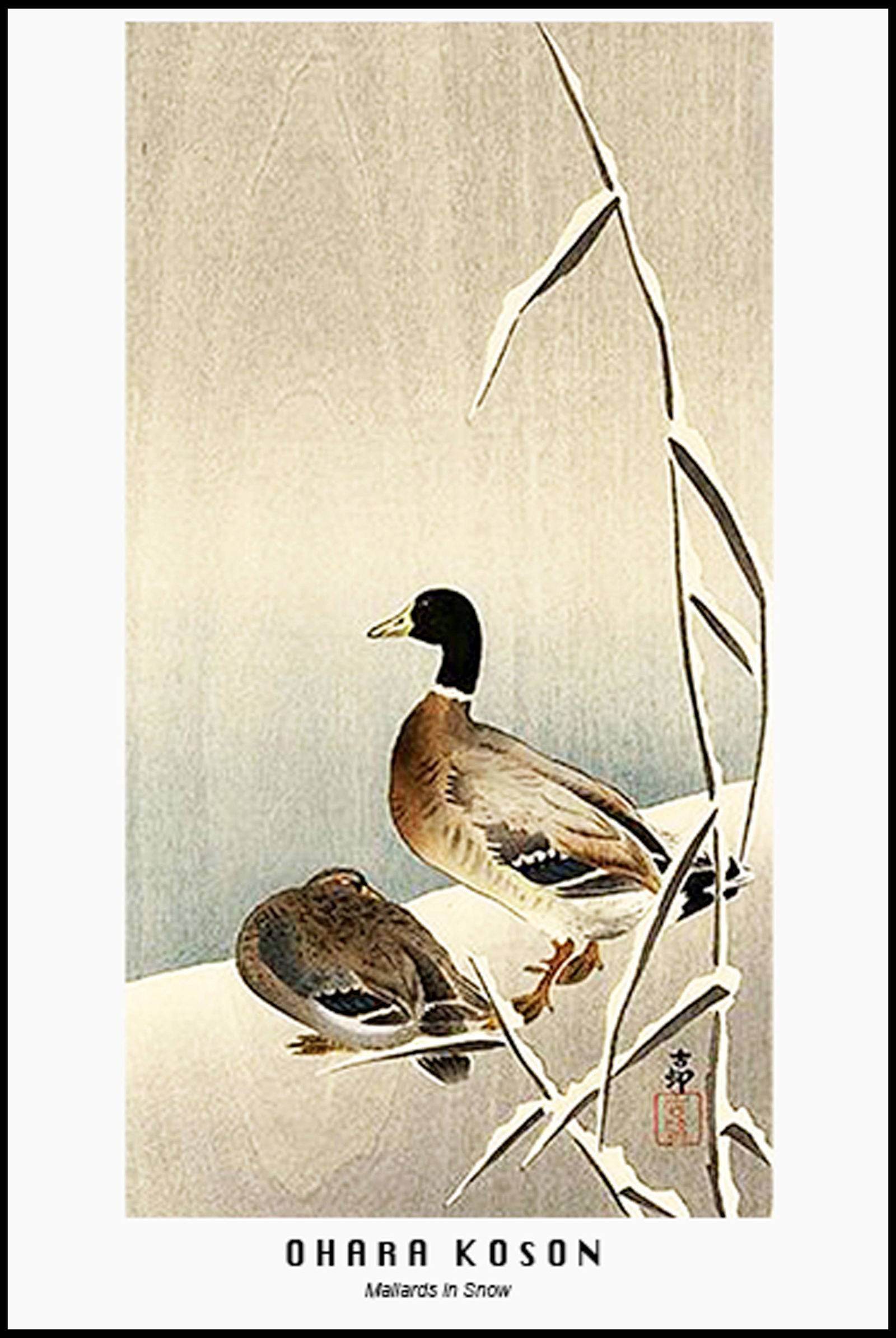 Ohara Koson - Mallards in Snow Poster - Hakyarts