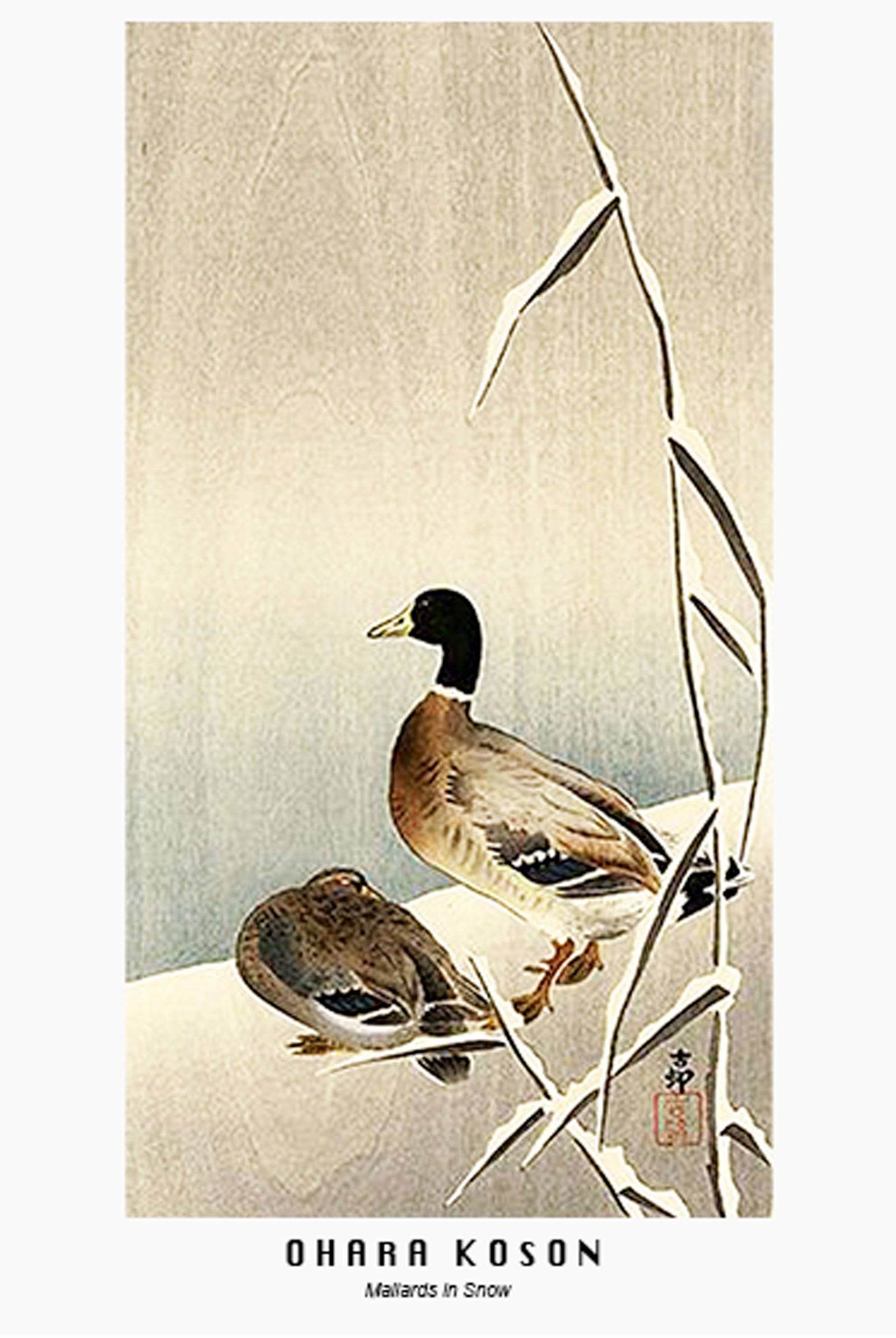 Ohara Koson - Mallards in Snow Poster - Hakyarts
