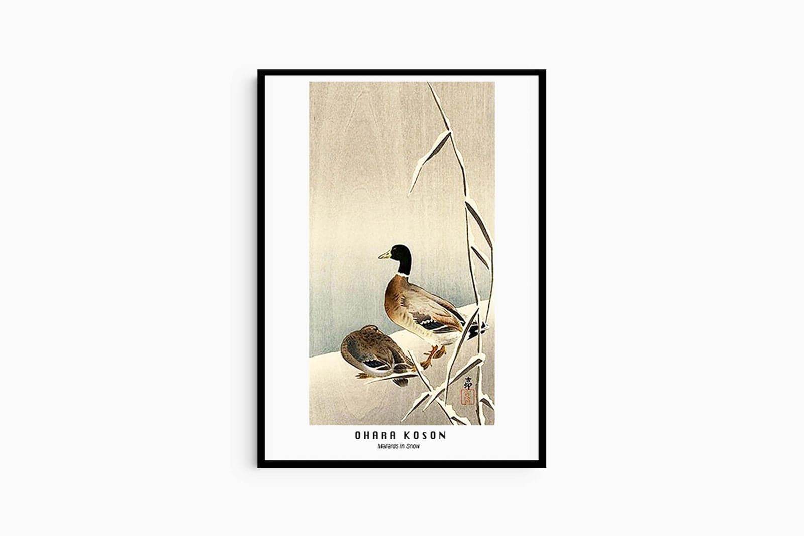 Ohara Koson - Mallards in Snow Poster - Hakyarts