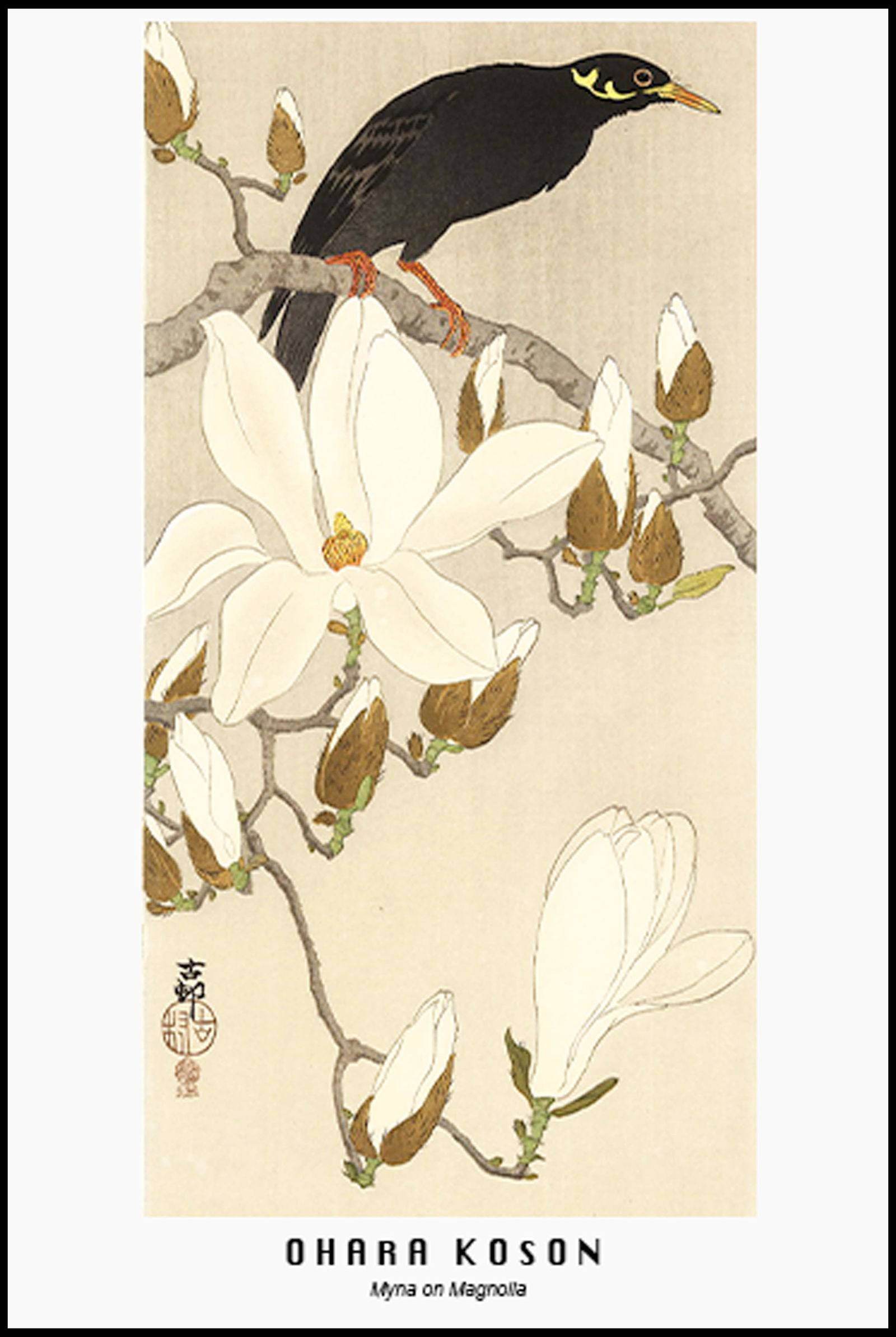 Ohara Koson - Myna on Magnolia Poster - Hakyarts