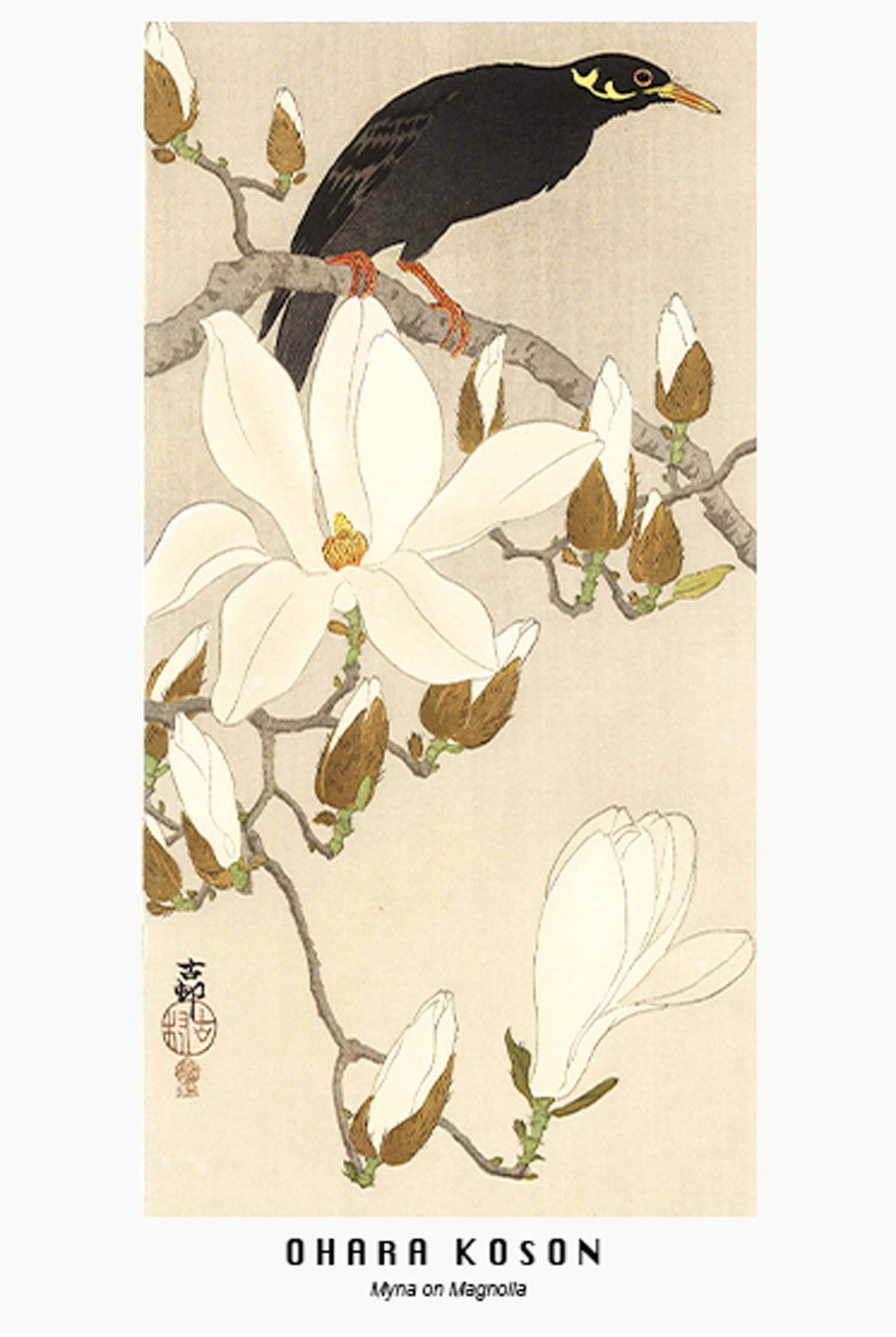 Ohara Koson - Myna on Magnolia Poster - Hakyarts