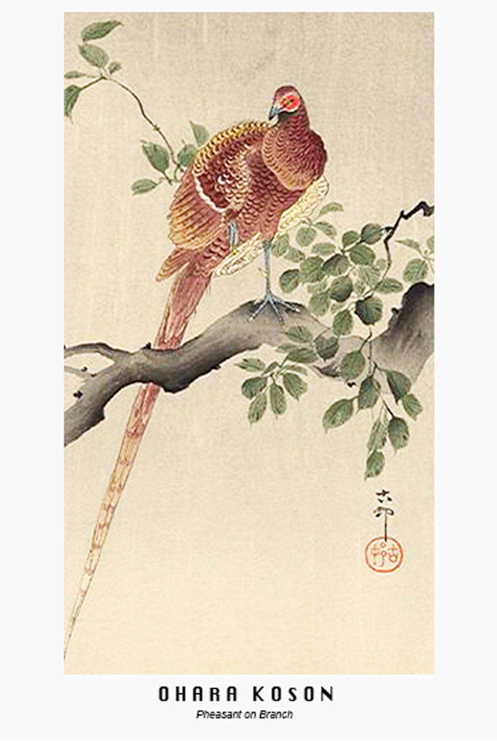 Ohara Koson - Pheasant in Branch - Hakyarts