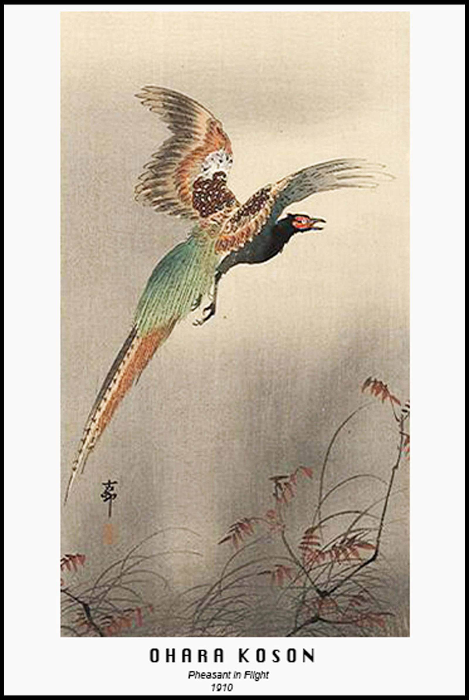 Ohara Koson - Pheasant in a Flight Poster - Hakyarts