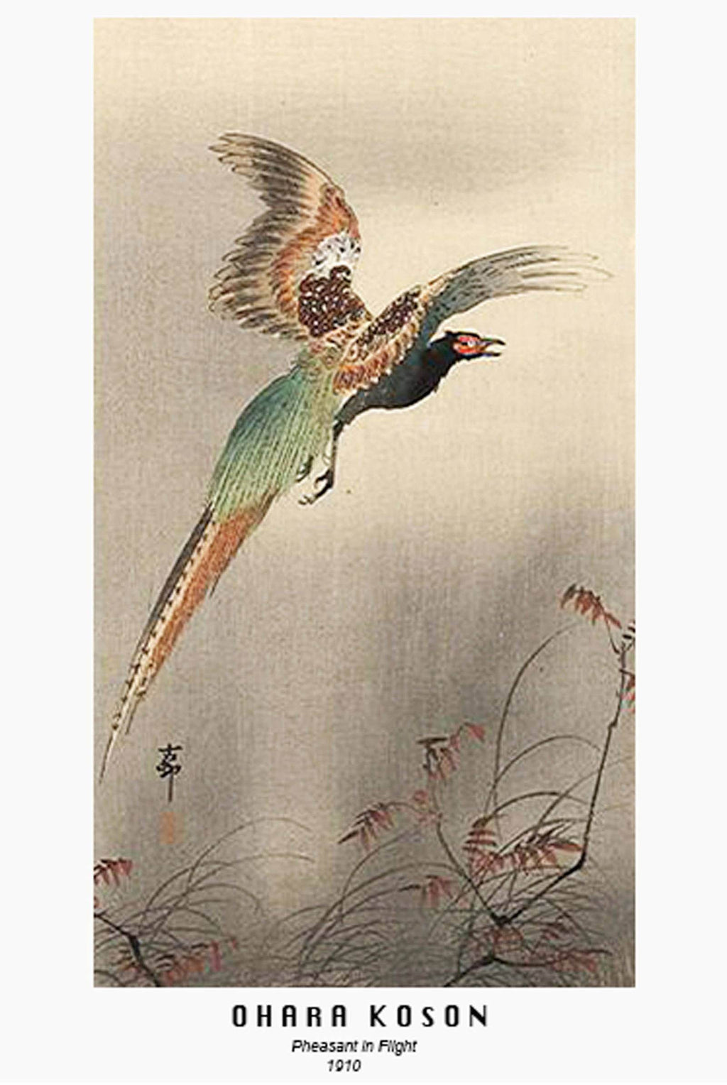 Ohara Koson - Pheasant in a Flight Poster - Hakyarts