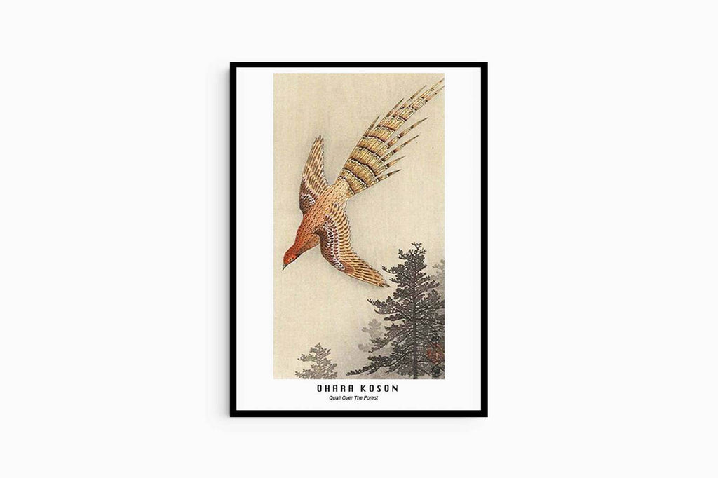 Ohara Koson - Quail Over The Forest - Hakyarts