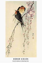 Ohara Koson - Two Barns Swallow on Blossoming Cherry - Hakyarts
