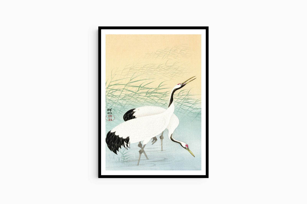 Ohara Koson - Two Cranes - Hakyarts