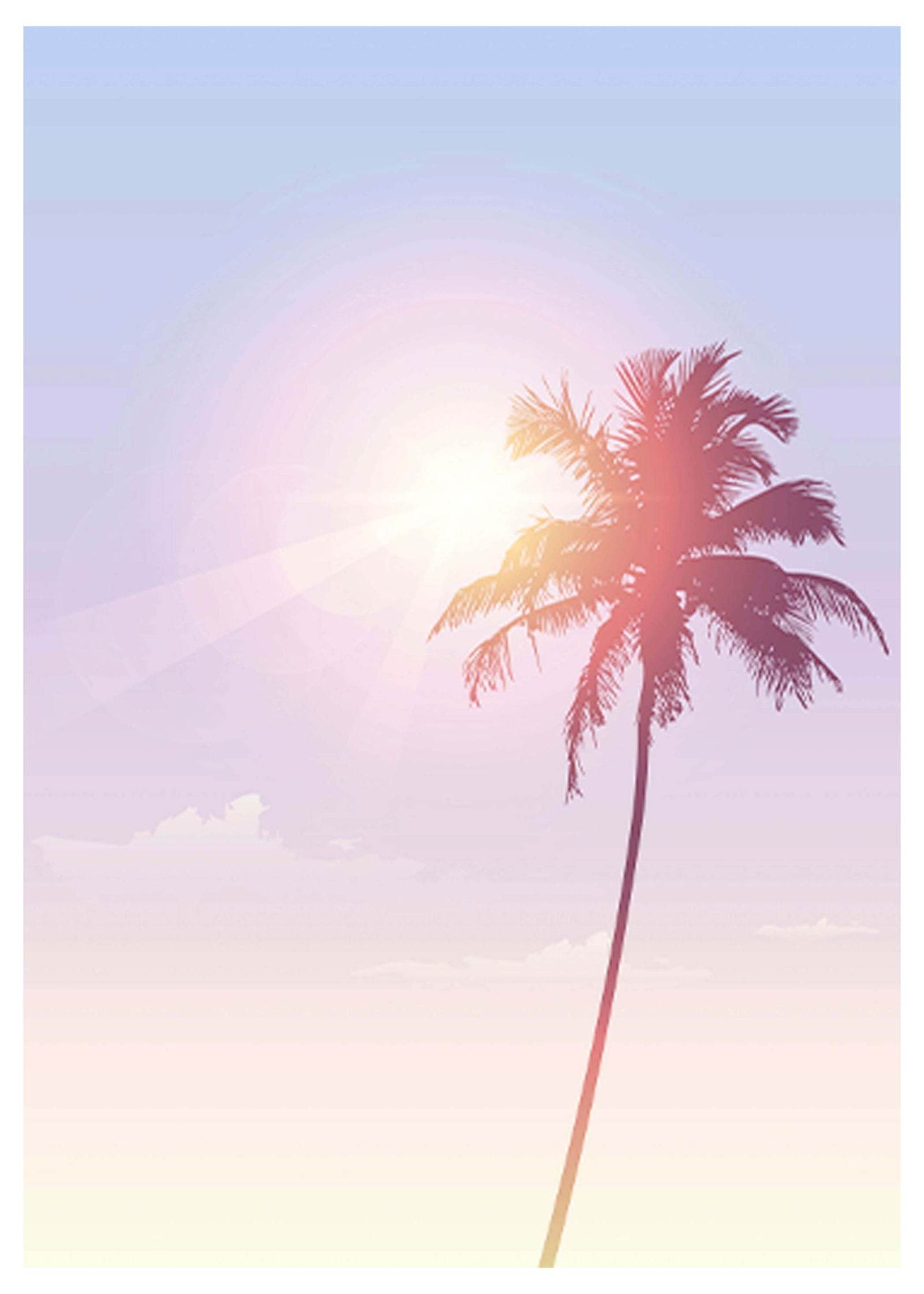 Palm Beach Poster - Hakyarts