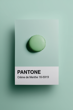 Pantone Inspired Crème de Menthe – Minimalist Color Code Art Print