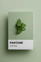 Set of 4 Pantone-Inspired Formal Garden, Green Haze, Peridot & Seafoam Green – Minimalist Color Art Prints