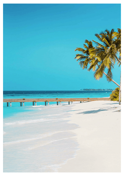 Paradise Gateway Poster - Hakyarts