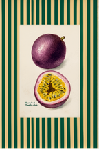 Passion Fruit Botanical – Green – Minimalist Wall Art Print