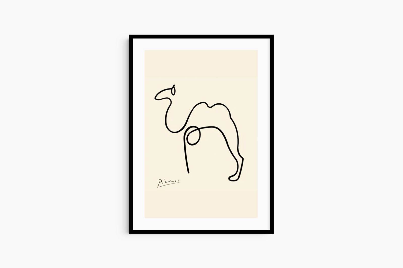 Picasso - The Camel - Hakyarts