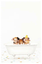 Pigs in A Bathtub Poster - Hakyarts