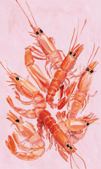 Set of 2 Blue Pedestal Pitcher + Pink Shrimps Illustration | Contemporary Still Life & Coastal Kitchen Wall Art Prints