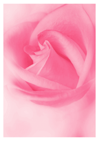 Set of 2 Pink Rose & Blue Prismatic Pulse Wall Art Prints – Vibrant Floral and Kaleidoscope Gallery Set