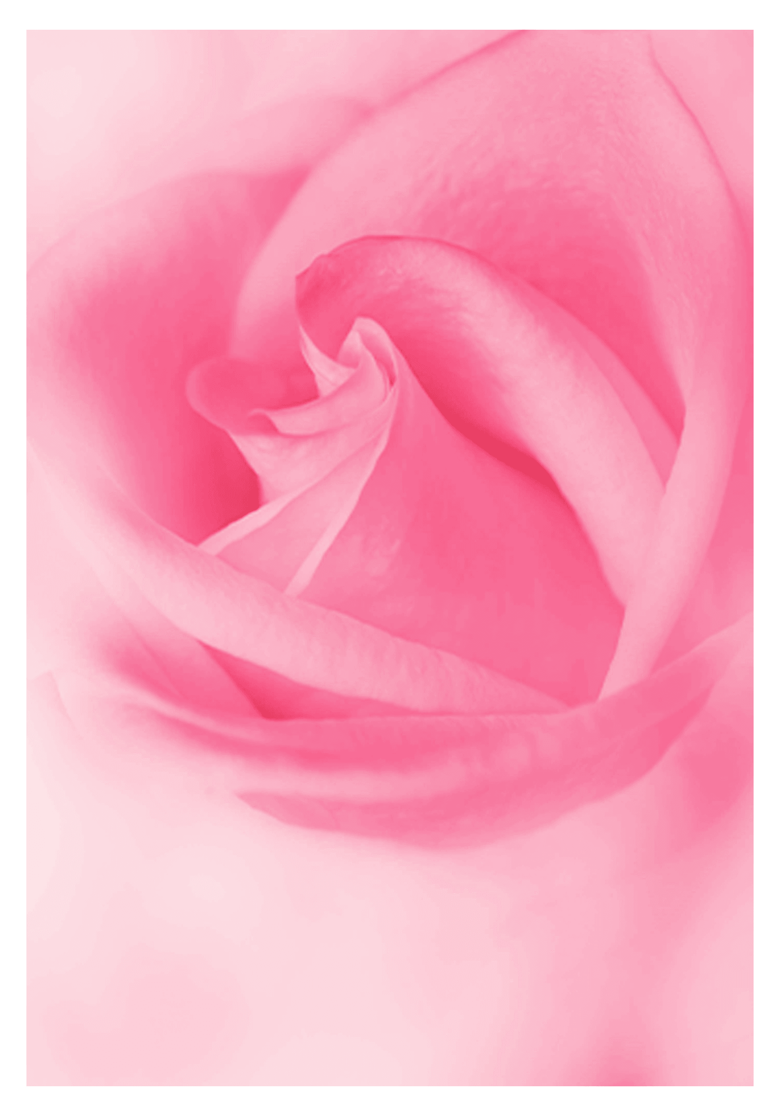 Set of 2 Pink Rose & Blue Prismatic Pulse Wall Art Prints – Vibrant Floral and Kaleidoscope Gallery Set
