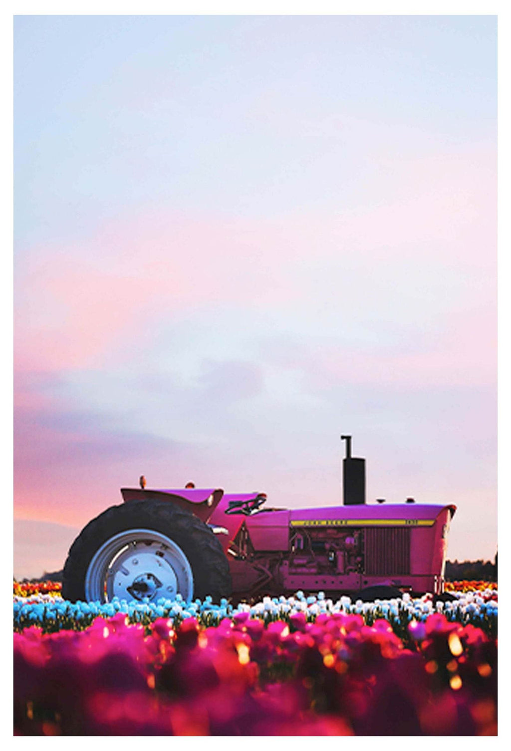 Pink Tractor Poster - Hakyarts
