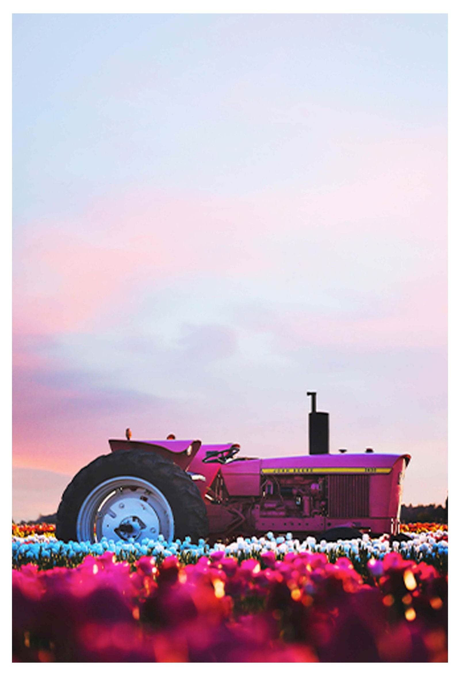 Pink Tractor Poster - Hakyarts