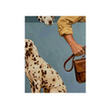 Canvas Print Dalmatian on Powder Blue | Contemporary Dog Wall Art