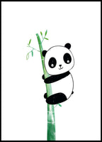 Playful Panda