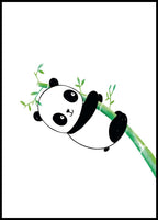 Playful Panda