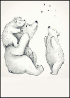 Polar Bears