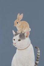 Cat & Rabbit Print | Contemporary Animal Wall Art