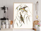 Purple-crowned Lorikeet Poster - Hakyarts