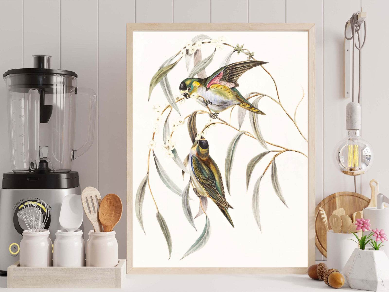 Purple-crowned Lorikeet Poster - Hakyarts