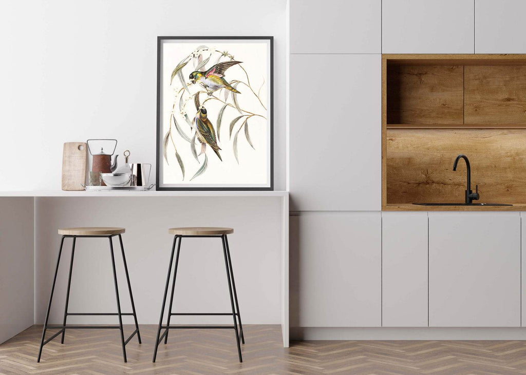 Purple-crowned Lorikeet Poster - Hakyarts