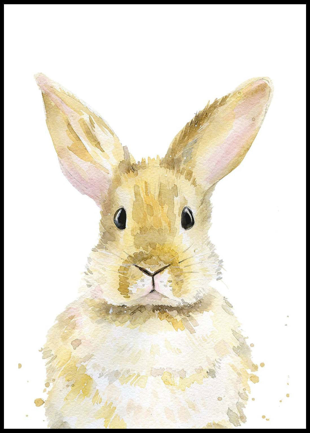 Rabbit Portrait