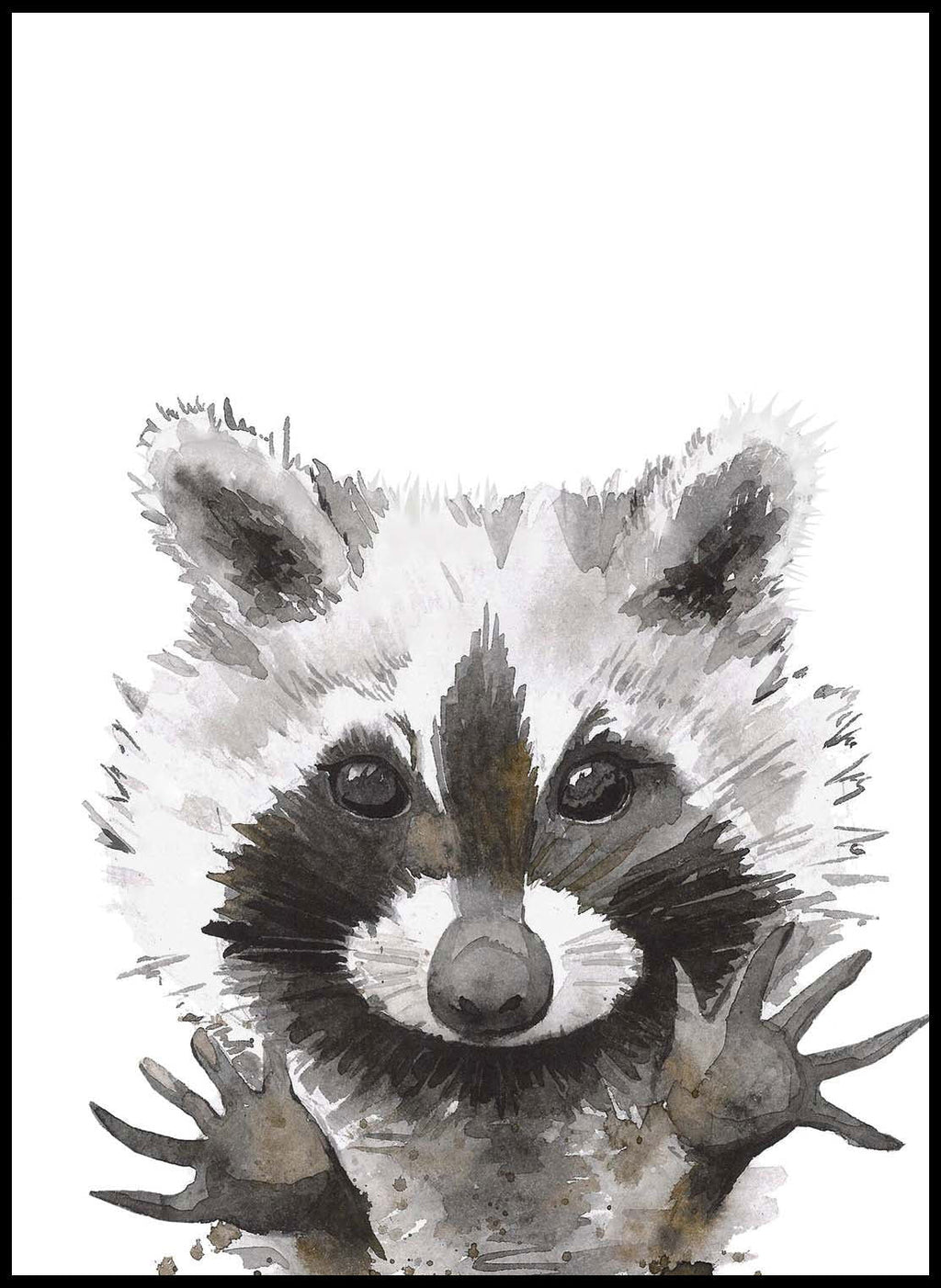 Racoon Portrait
