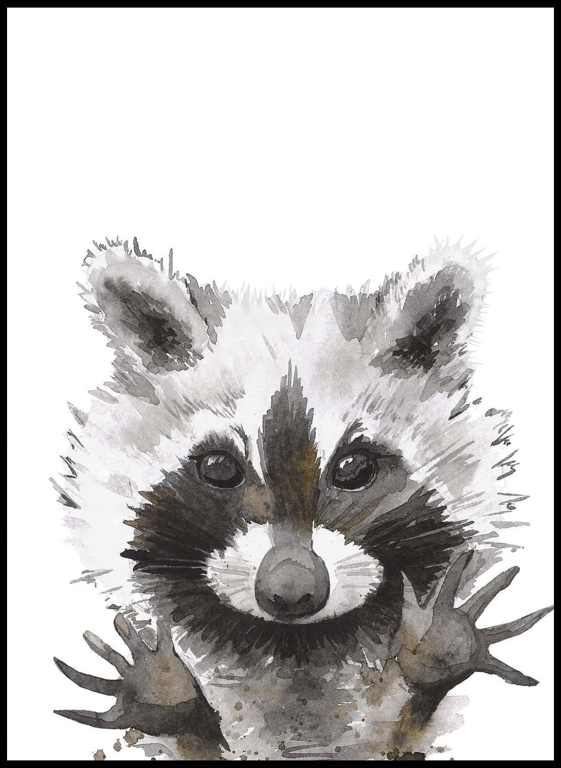 Racoon Portrait