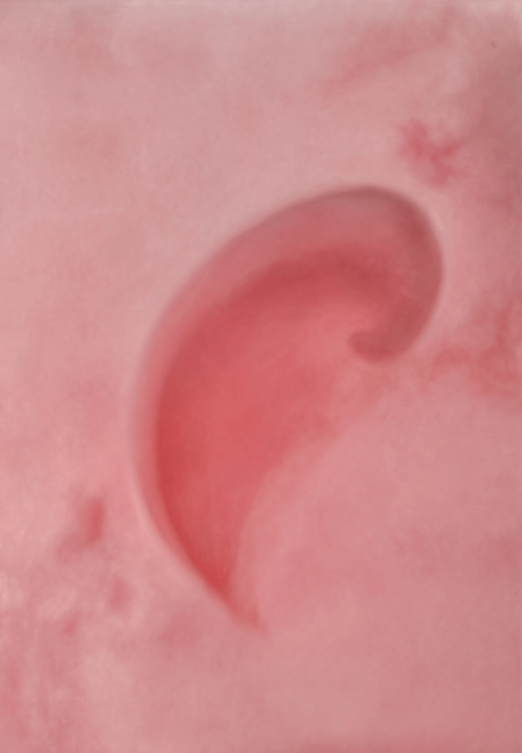 Red Hue Abstract Shape | Contemporary Abstract Wall Art