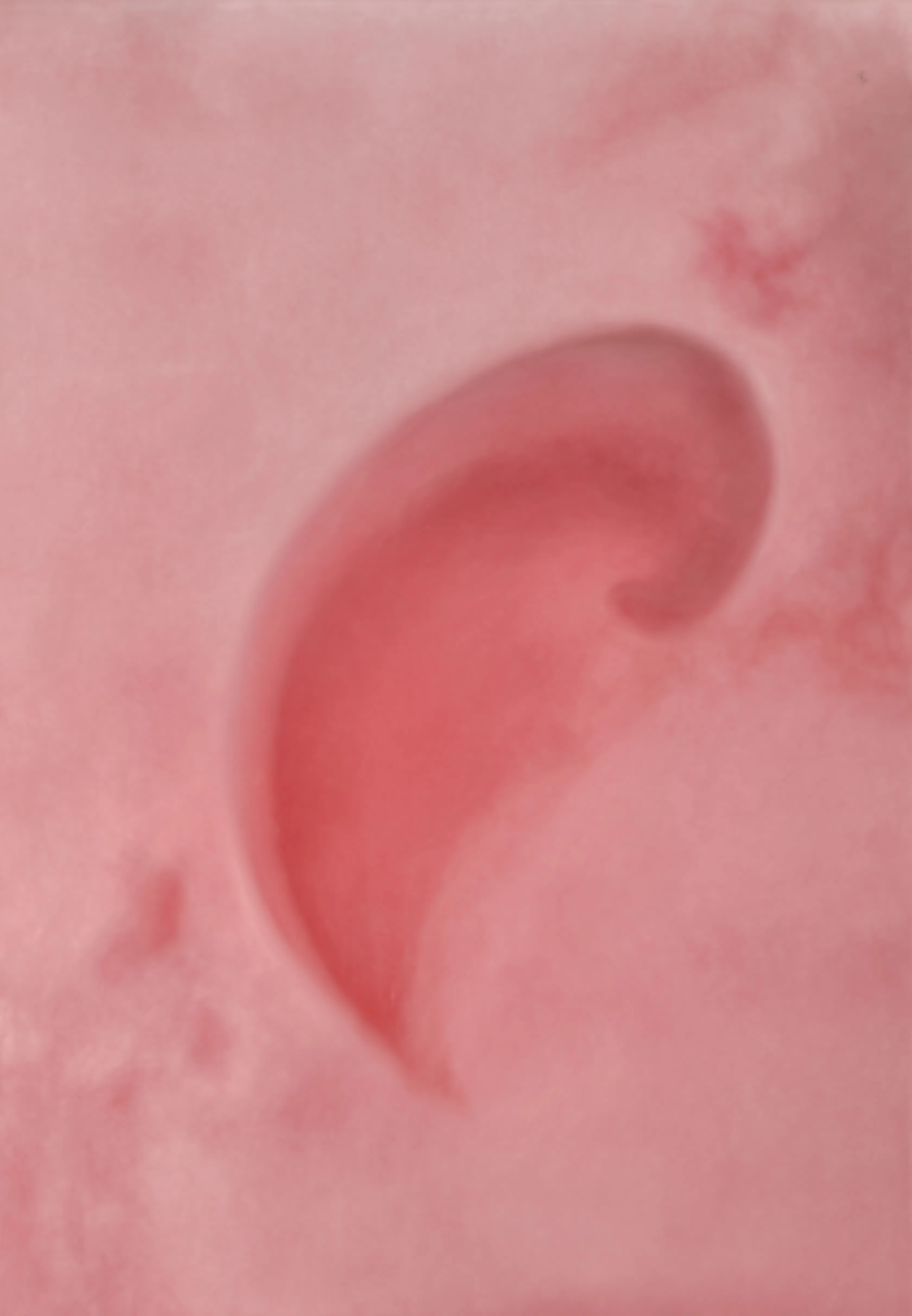 Red Hue Abstract Shape | Contemporary Abstract Wall Art