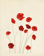 Red Poppies Print | Contemporary Botanical Floral Wall Art