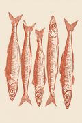 Red Sardine – Minimalist Wall Art Print