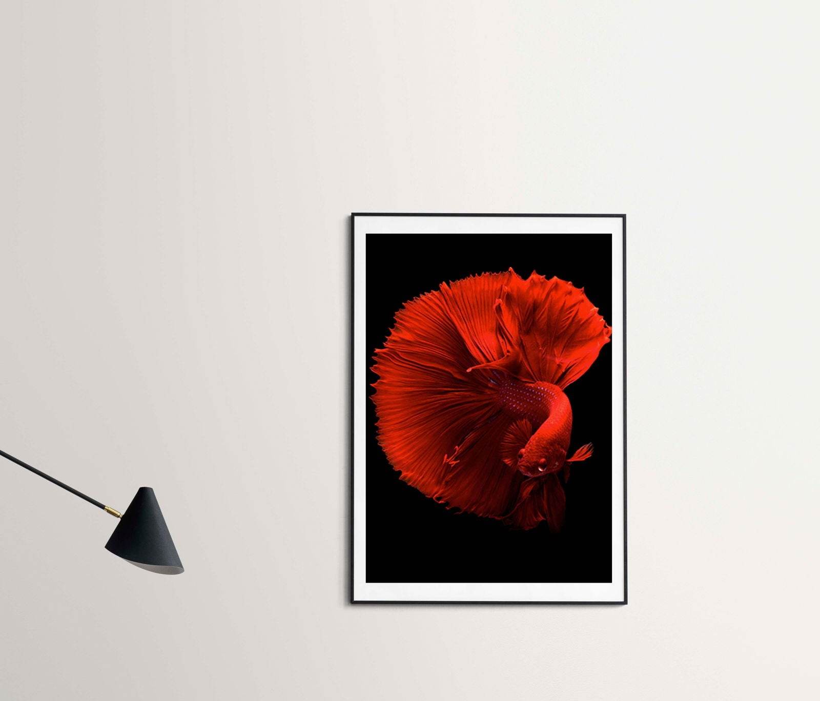 Red Fish Poster - Hakyarts