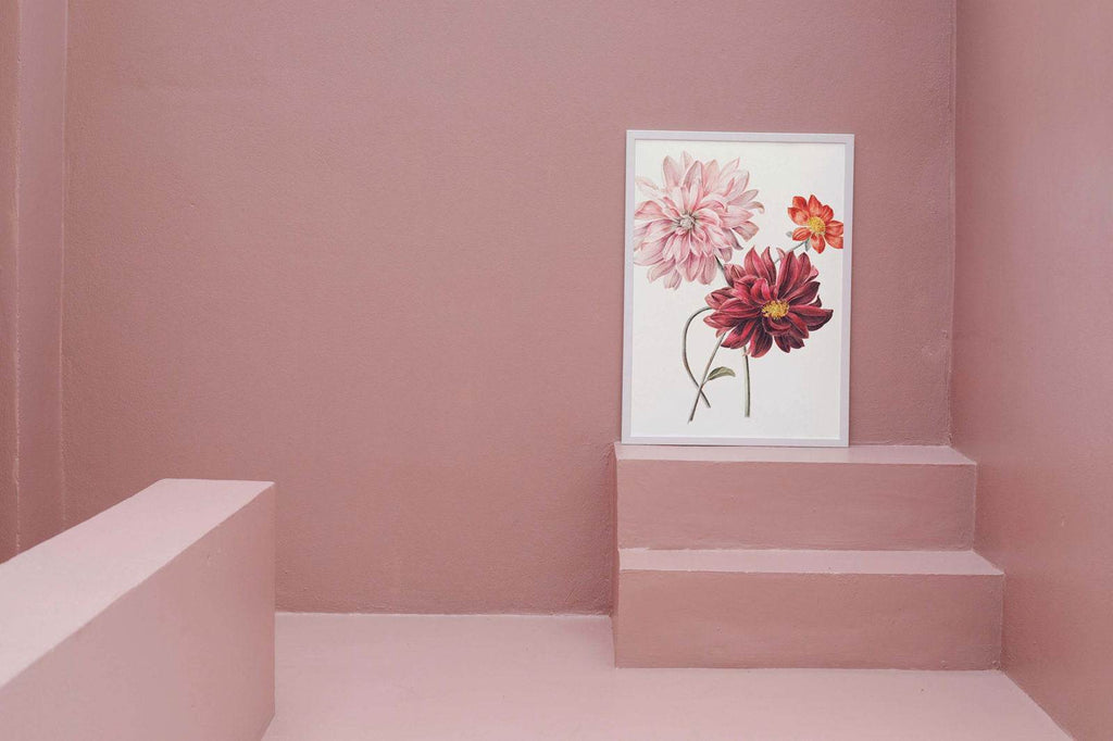 Red Shades Flowers Poster - Hakyarts