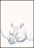 Rhinoceros