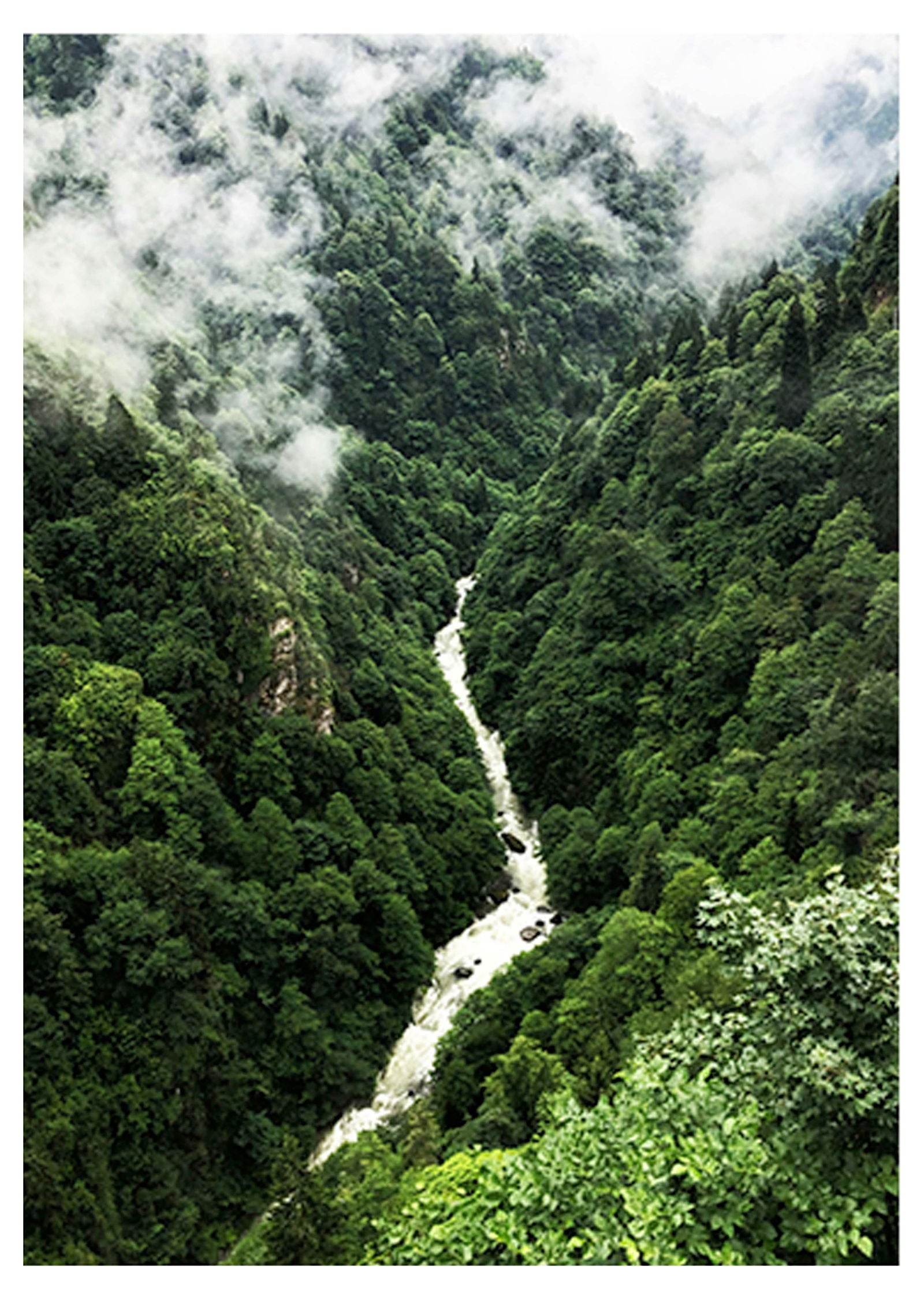 River Stream Poster - Hakyarts