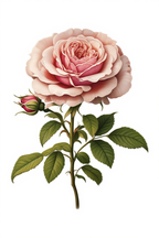 Timeless Blooms – 5-Piece Vintage Floral Wall Art Set - Hakyarts