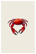 Illustrated Crab Watercolour Print