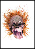 Silly Monkey