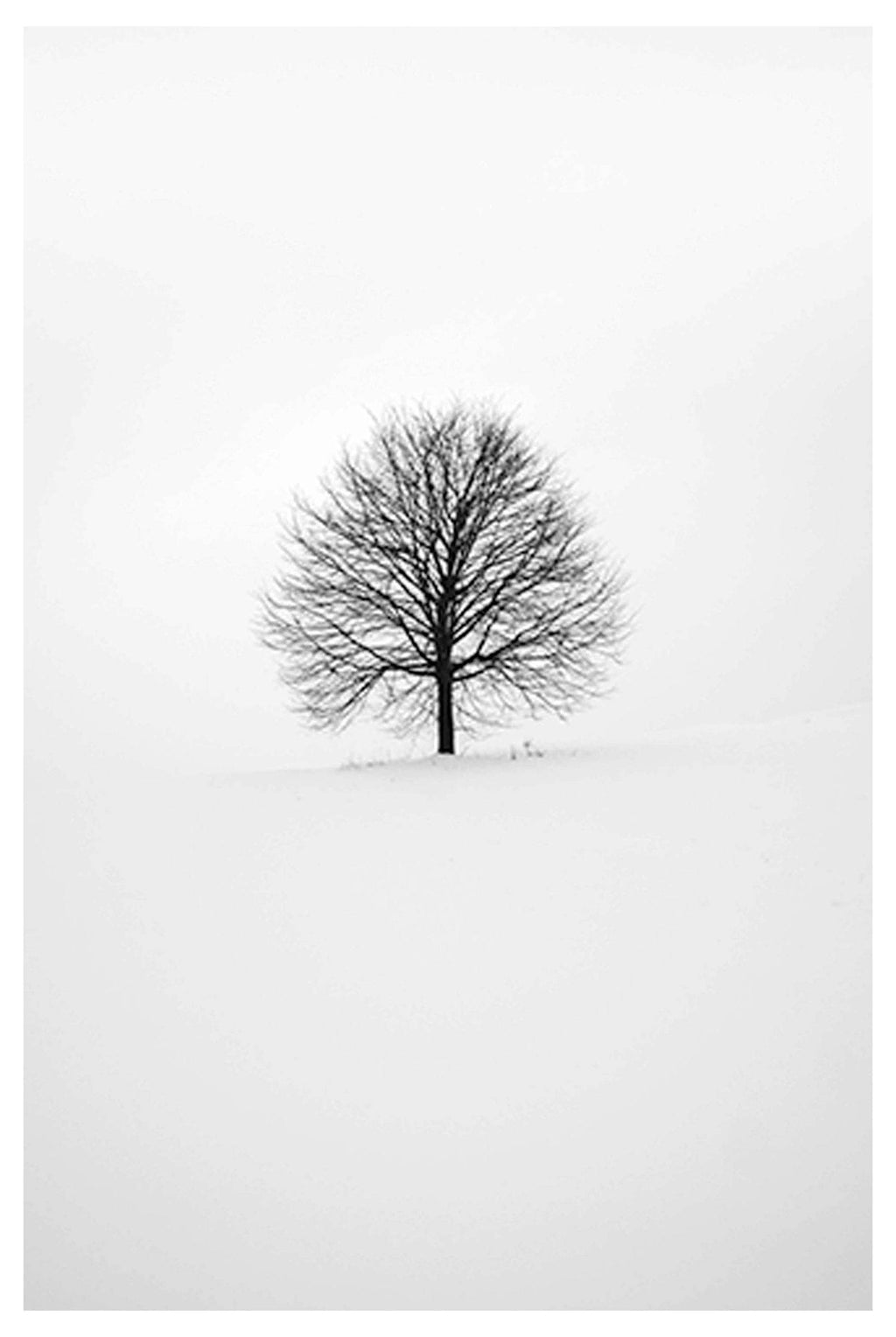Single Tree No 2 Poster - Hakyarts
