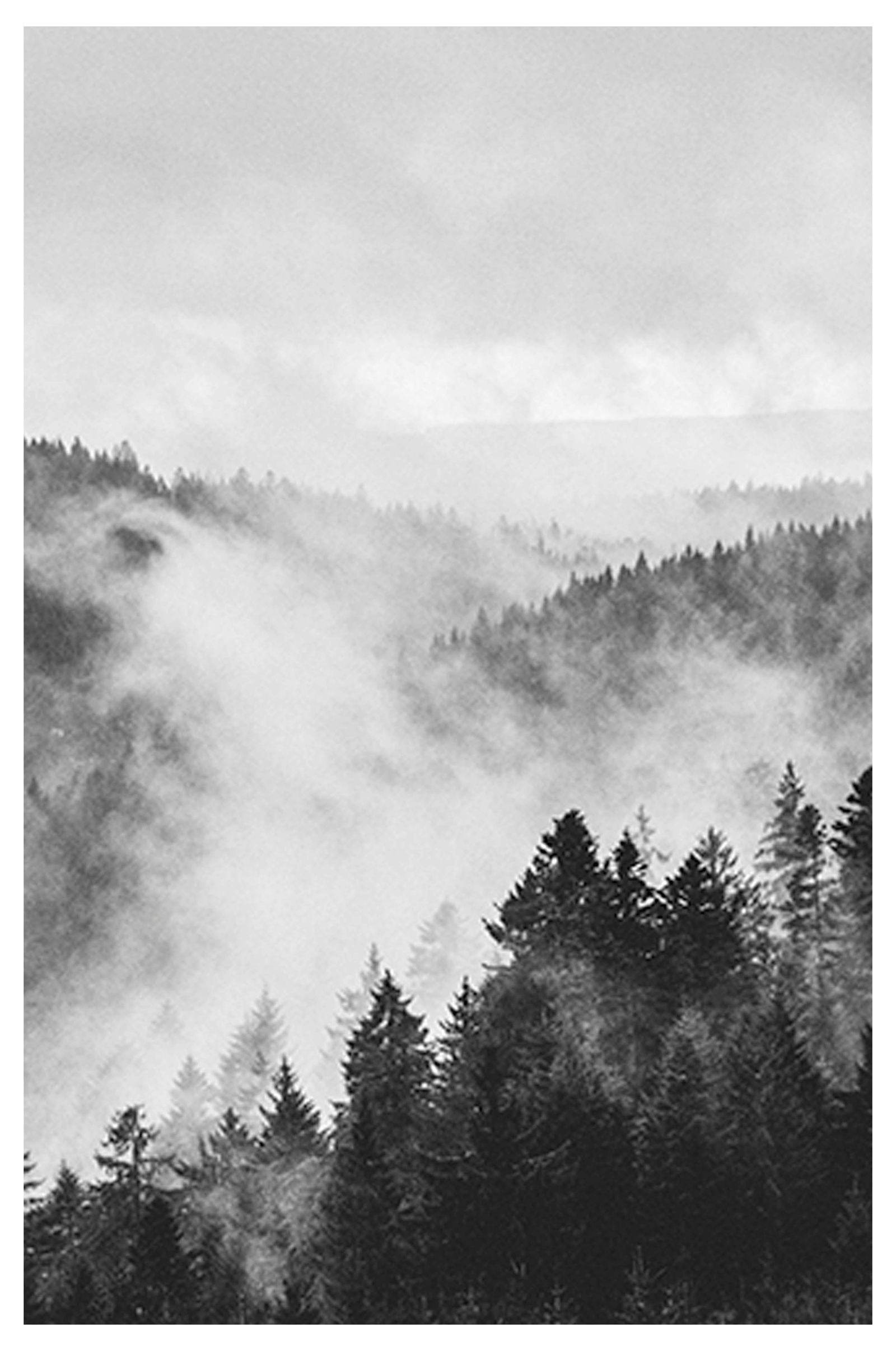 Smokes in the Forest Poster - Hakyarts