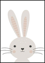 Teddy Rabbit
